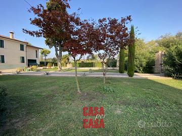 Rustico dagli ampi spazi con terreno