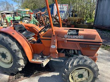 TRATTORE GOLDONI 654