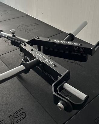 Landmine Wishbone Lacertosus