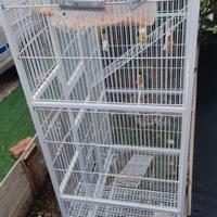 voliera gabbia  uccelli pappagalli volatili