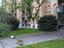 Immagine 5
