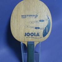 racchetta ping pong tennis tavolo 