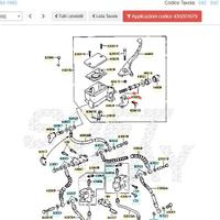 Pistoncino pompa freno ant Kawasaki GPZ550 4302010
