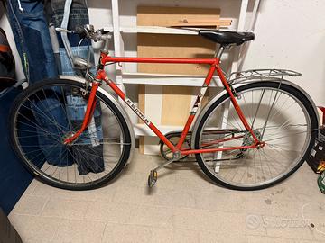 Bici uomo Regina