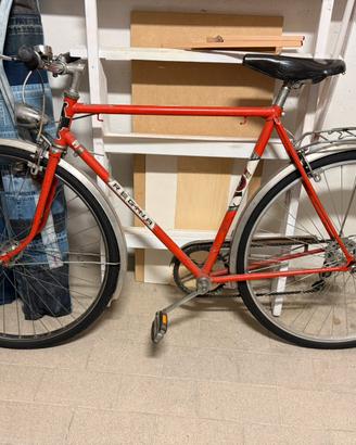 Bici uomo Regina