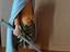 Immagine 3