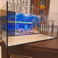 Acquario 60 lt