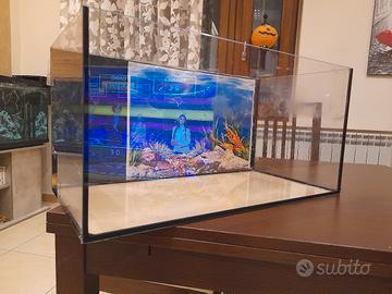 Acquario 60 lt