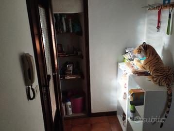 Appartamento in bifamigliare