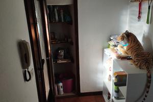 Appartamento in bifamigliare