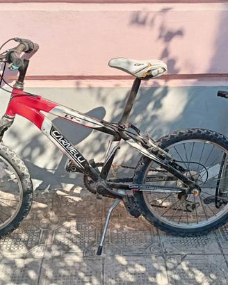 Bici bambino Carnielli LT-20