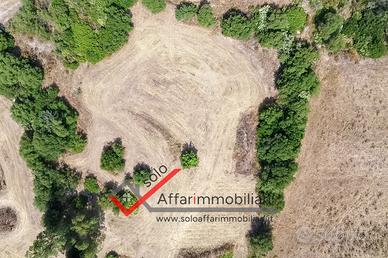 Terreno Agricolo Teggia e Sambene