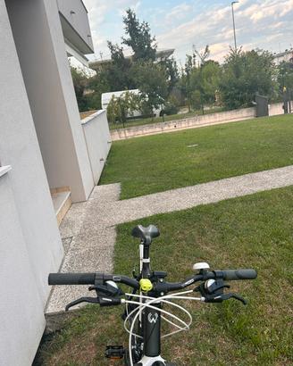 Bicicletta