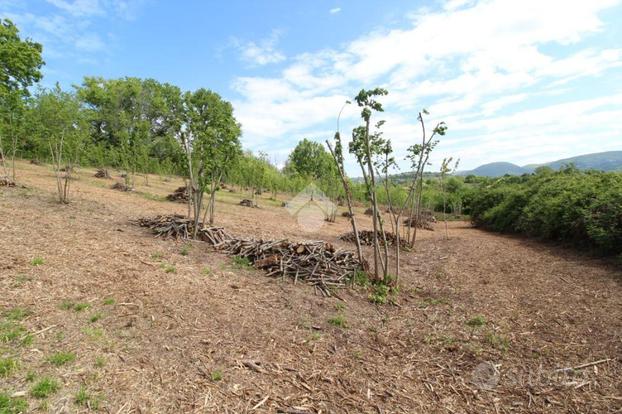 TER. AGRICOLO A CASTELNUOVO DI FARFA