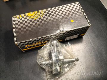 Albero Pinasco Et3 c.51 cono 19