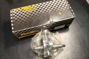 Albero Pinasco Et3 c.51 cono 19