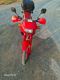 Honda dominator