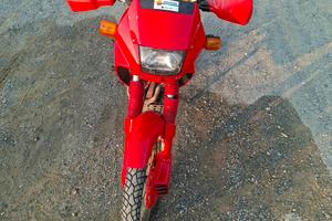 Honda dominator