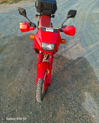 Honda dominator