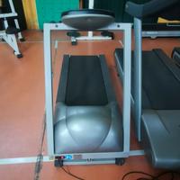 tapirulant panatta.. 