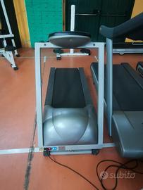 tapirulant panatta.. 