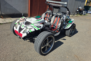 Dune Buggy Quad oxobike kart cross cf moto