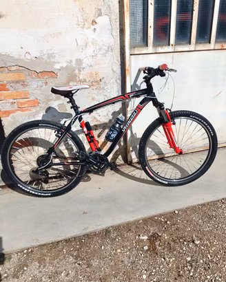 Mountain bike 