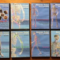 Meridiani miofasciali Dr. Myers DVD (sped.gratis)
