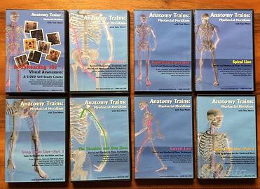 Meridiani miofasciali Dr. Myers DVD (sped.gratis)