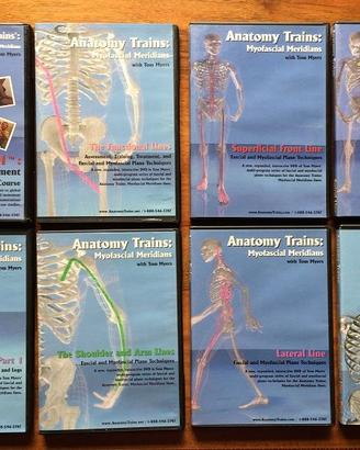 Meridiani miofasciali Dr. Myers DVD (sped.gratis)