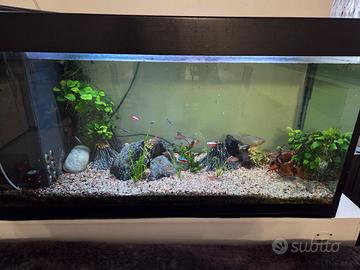 Acquario 200litri