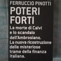 Ferruccio pinotti " poteri forti"