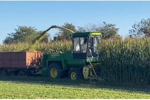 Trinciamais semovente Mengele