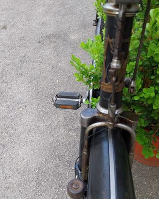 Legnano orchidea