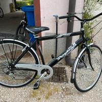 Bici da uomo
