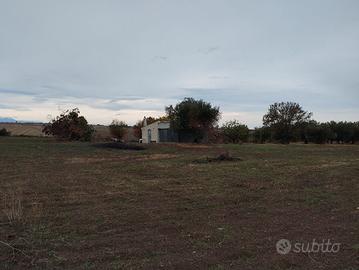 Terreno