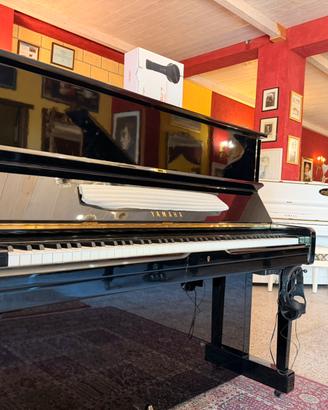 Pianoforti coda e verticali