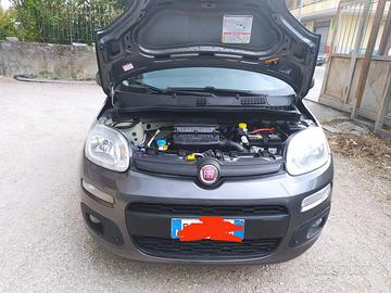 Fiat Panda Lounge