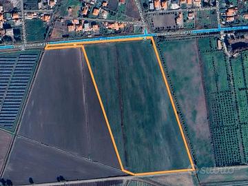 Terreno agricolo - 70.000mq - (7 ettari)