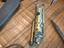 Immagine 6