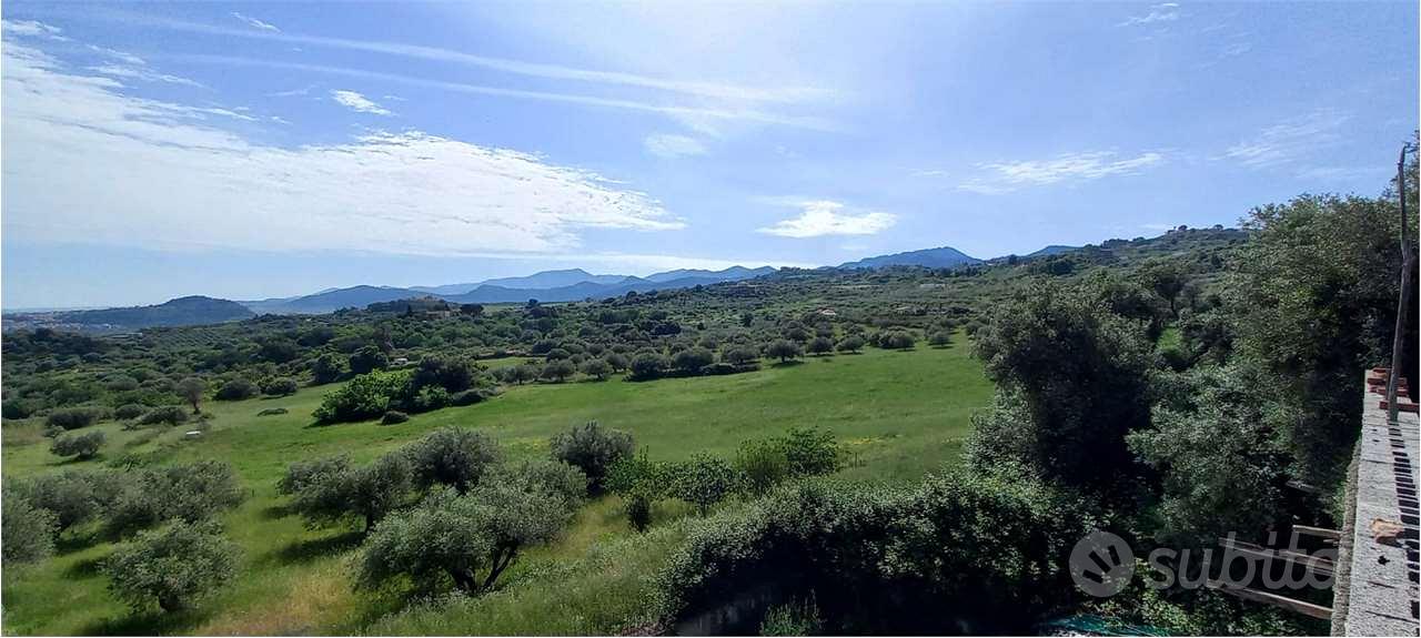 Terreno con Ulivi produttivi e antico Palmento - Vista 5