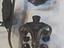 Immagine 3