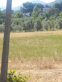 Terreno agricolo Pontelatone