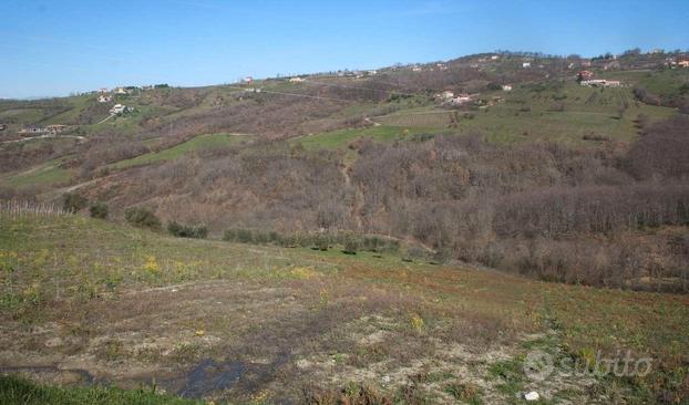 Terreno agricolo a Nusco