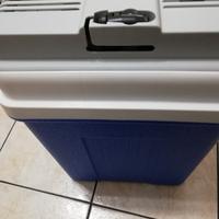 frigorifero per auto