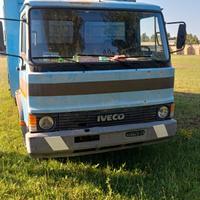 Camion iveco 79-14 trasporto animali vivi