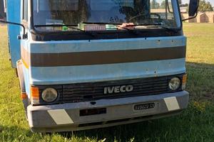 Camion iveco 79-14 trasporto animali vivi