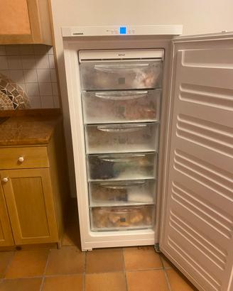 Freezer Liebherr GNP2303