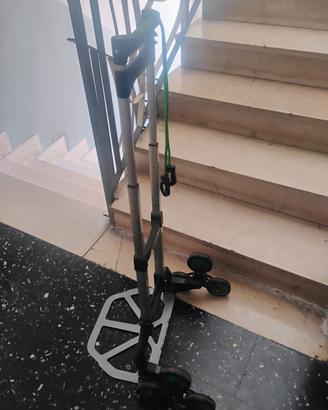Carrello 