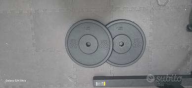 dischi ghisa 20 kg 